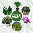 Bastonetes Cresça-Mais - Kit com 30 Bastões