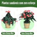 Bastonetes Cresça-Mais - Kit com 30 Bastões